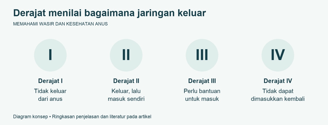 Derajat Wasir 1 sampai 4 dan Pilihan Penanganannya