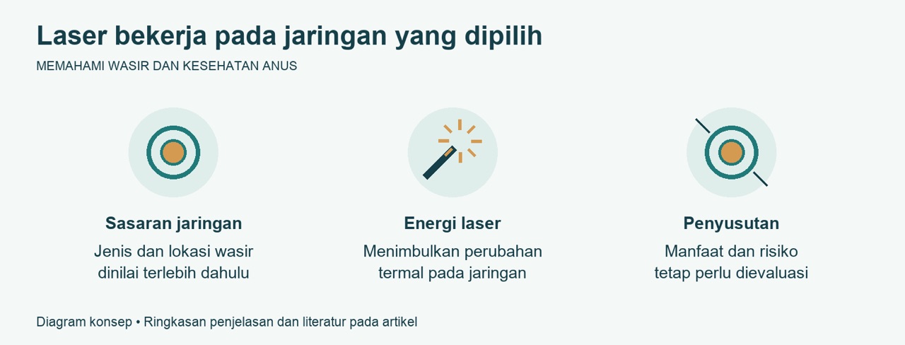 Laser Wasir Biolitec dan Cara Kerja LHP