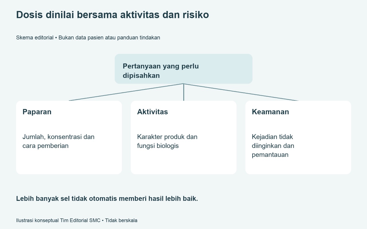 Lebih banyak sel — kapan ini menjadi pertanyaan dosis dan keamanan