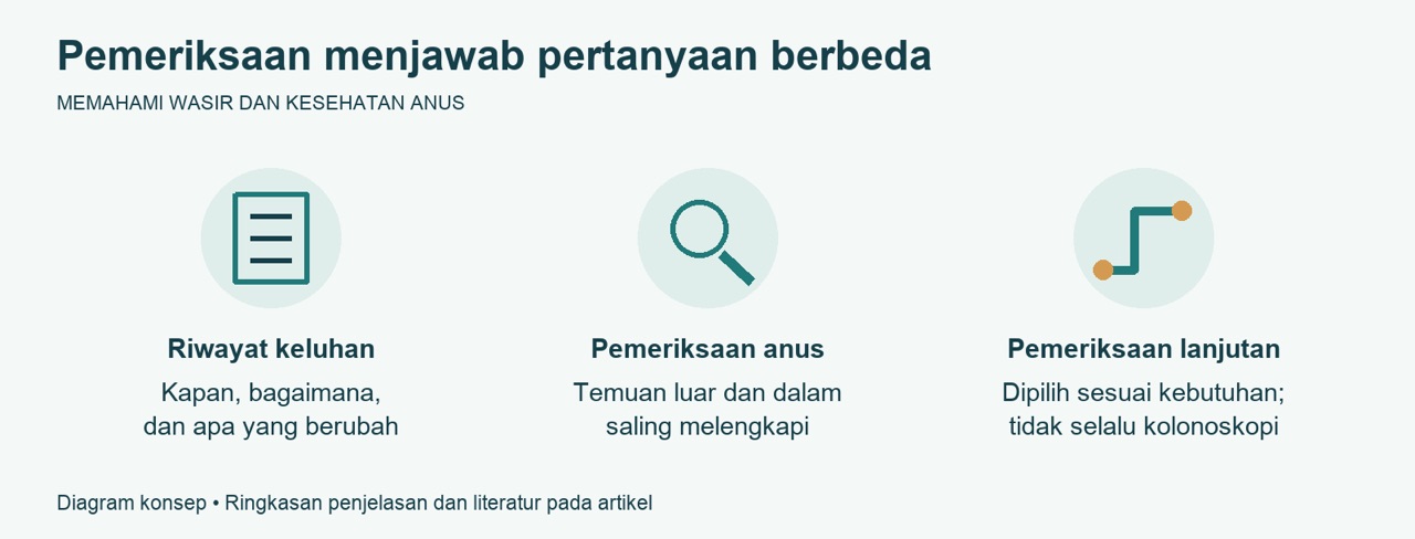Pemeriksaan Wasir dan Alasan di Balik Setiap Langkah