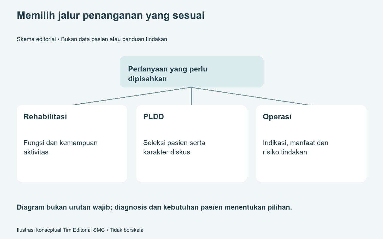 PLDD rehabilitasi dan operasi — pertanyaan yang perlu dijawab sebelum memilih