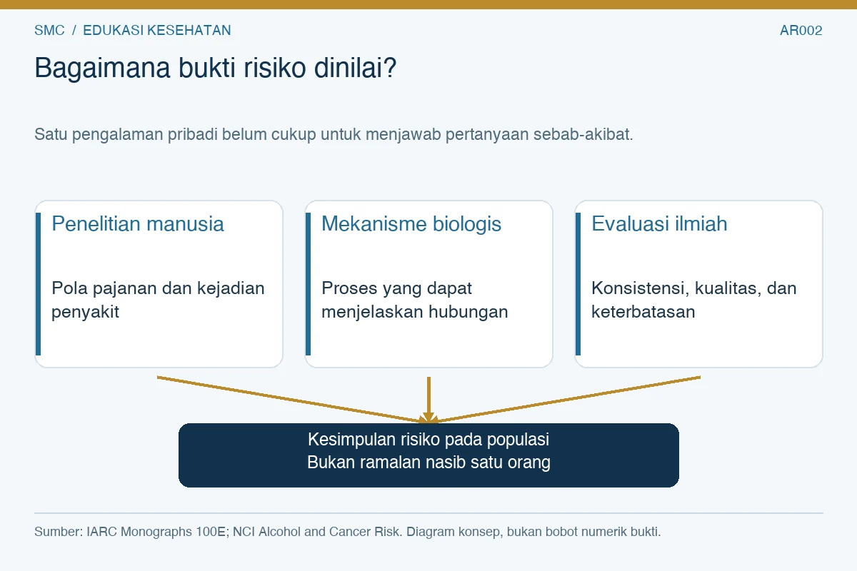 Tiga jalur bukti—penelitian manusia, mekanisme biologis, dan evaluasi ilmiah—menuju kesimpulan risiko populasi.