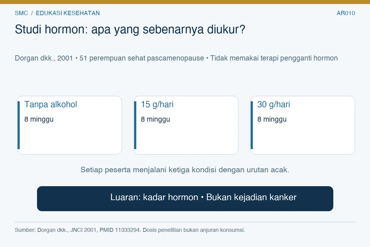 Desain studi silang Dorgan: 51 peserta menjalani tiga periode delapan minggu dengan 0, 15, dan 30 gram alkohol per hari; luaran hormon, bukan kanker.