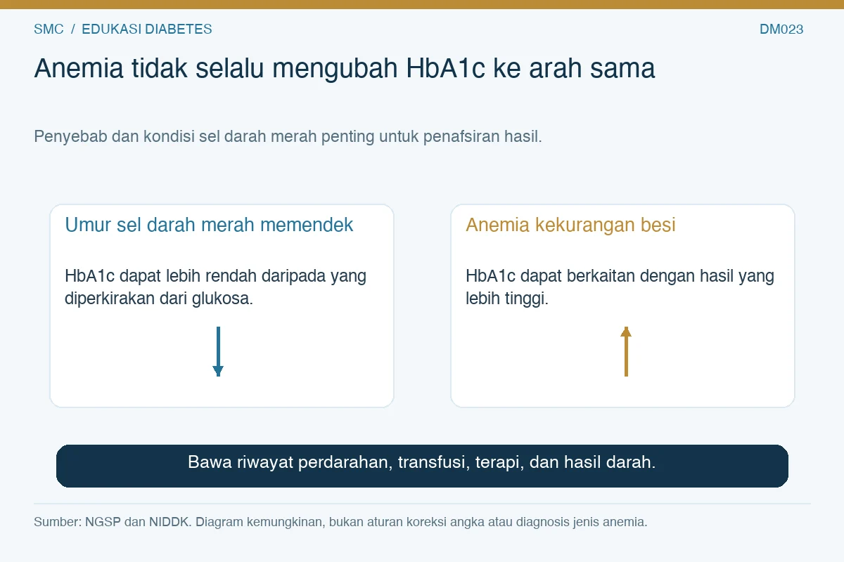 Dua kemungkinan arah pengaruh kondisi darah terhadap HbA1c: umur sel memendek dan anemia kekurangan besi.