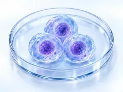 Ilustrasi layanan Stem Cell UC-MSC